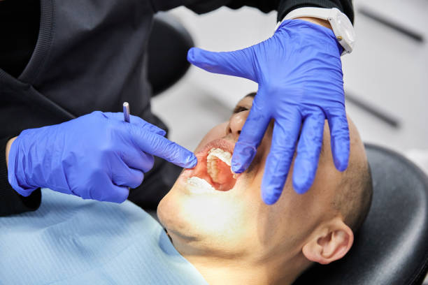 Best Emergency Dental Services Near Me  in Cheboygan, MI